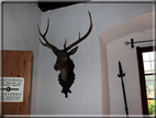 foto Castel Welsperg 